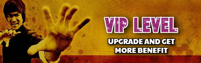 Upgrade VIP level